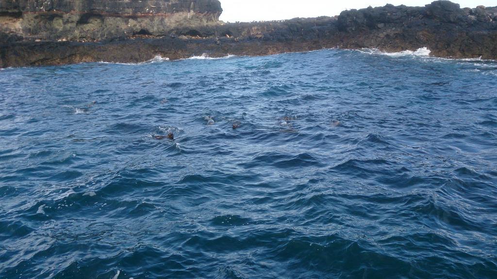Phillip Island Cottages Cowes Εξωτερικό φωτογραφία