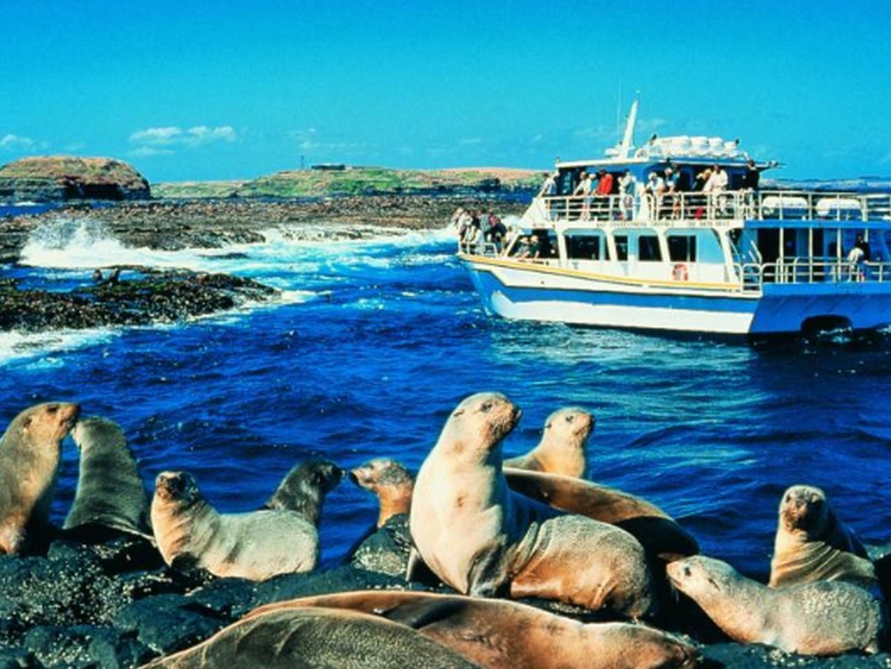 Phillip Island Cottages Cowes Εξωτερικό φωτογραφία
